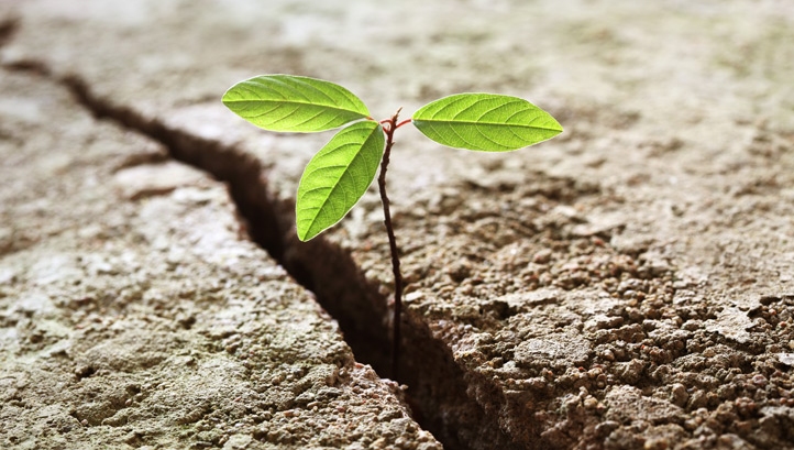 Operationalising sustainability as an opportunity